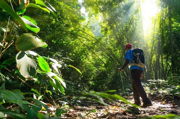 Wisata Edukasi Alam: Menggali Pengetahuan dari Flora, Fauna, dan Aktivitas Seru yang Menginspirasi